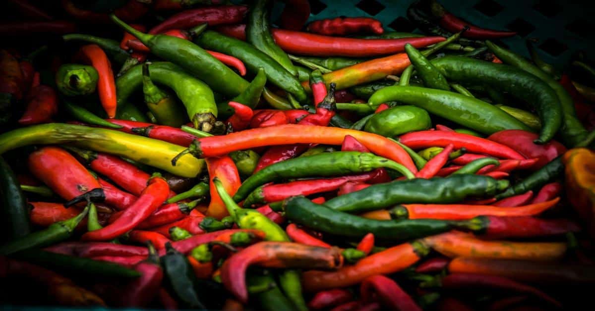 3 Spicy Dishes from Mexico: Must-Try Flavors that Pack a Punch