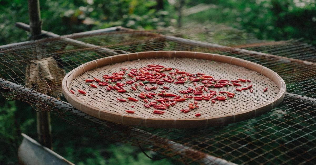 Spice Odyssey: Exploring the Fiery Flavors of Asia